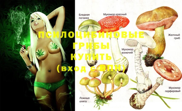 кристаллы Инта