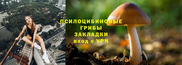 хмурый Иннополис